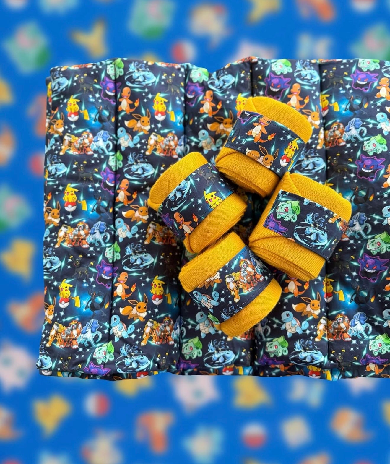 Set Sottofasce e Fasce Pokemon