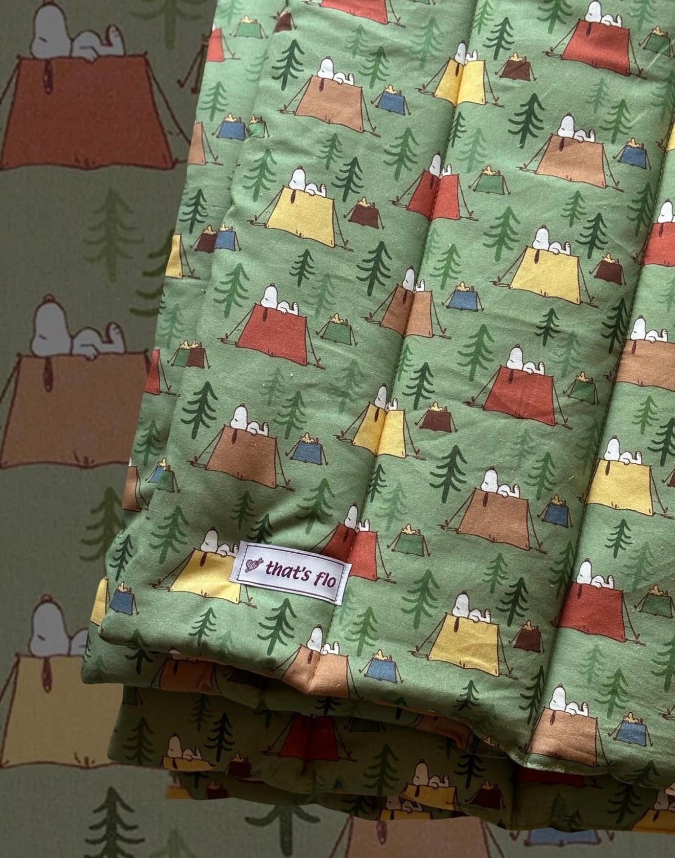 Sottofasce e Fasce Snoopy